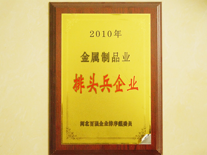 <strong>2010排頭兵企業</strong>